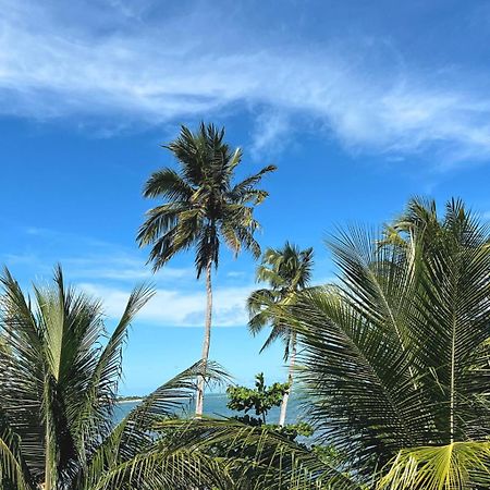 Suites Ventos E Velas Praia Pôrto de Pedras Exterior foto
